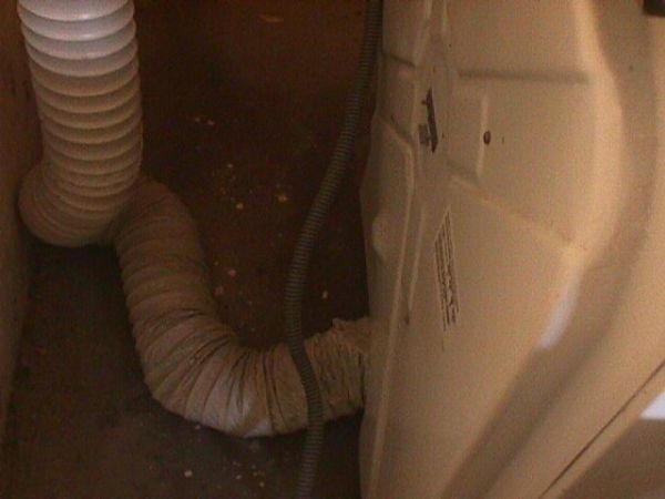 A white and brown hose is in the corner of a room.